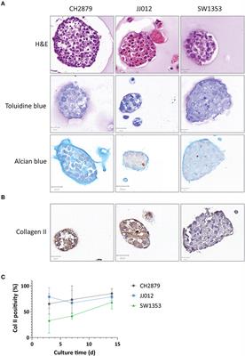 Selection of Effective Therapies Using Three-Dimensional in vitro Modeling of Chondrosarcoma